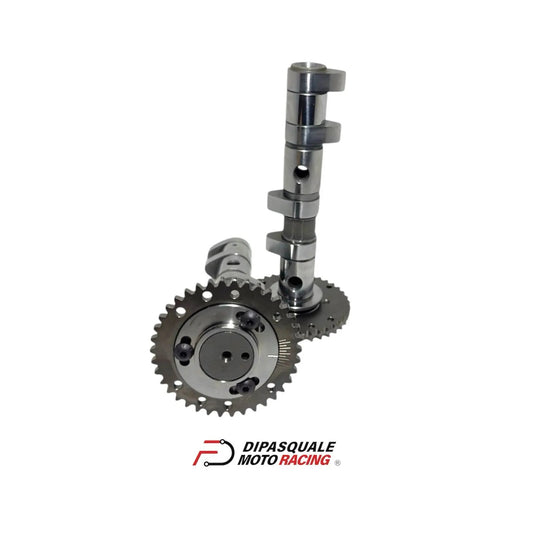 Arboles de levas Stage2 reperfilados FD DIPASQUALE Tmax 530-560