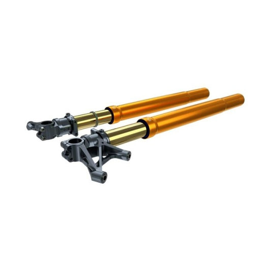 Kit suspensión delantera ÖHLINS FGRT Tmax 530/560 17/25