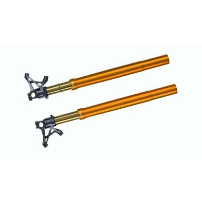 Kit suspensión delantera ÖHLINS FGRT Tmax 530/560 17/25